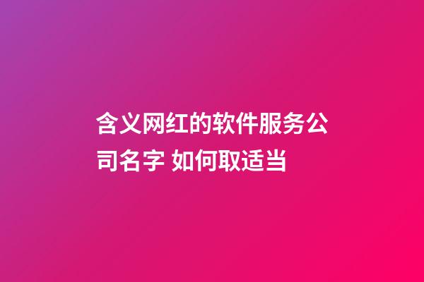 含义网红的软件服务公司名字 如何取适当-第1张-公司起名-玄机派